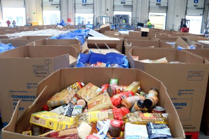 Aliments recollits al Gran Recapte 2025.