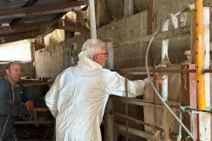 El procés de vacunació a la Val d’Aran va començar divendres. - CONSELH GENERAU D’ARAN