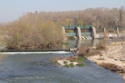 El riu Segre a Lleida ciutat, amb les comportes de la Mitjana al fons.