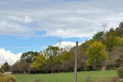 Pals a la carretera que dona accés a Abella d’Adons. - AJUNTAMENT DEL PONT DE SUERT