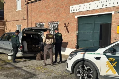 Agents de la Guàrdia Civil amb els sacs de nous intervinguts. - GUÀRDIA CIVIL