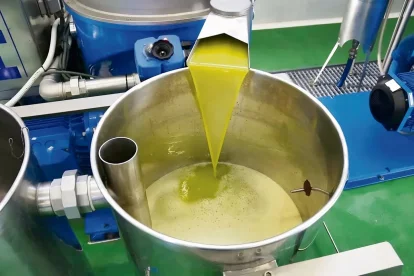 Els trulls es troben en la fase àlgida de la campanya.