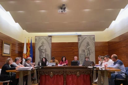 Imatge d’arxiu del ple municipal de Solsona.