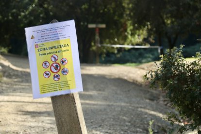 Un cartell informant d'una zona infectada a l'àmbit de Can Coll, a Cerdanyola del Vallès.