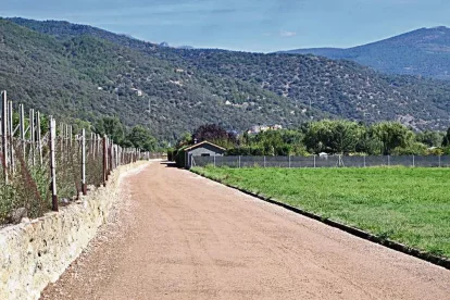 Imatge de part del camí on s’actuarà. - C. SANS