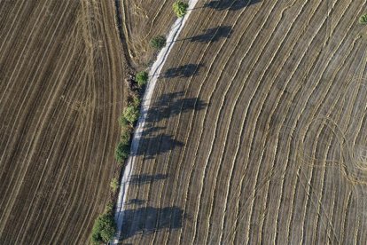 Parcel·les agrícoles catalanes recollides amb la DUN.