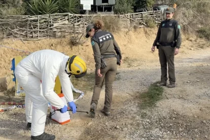 Desinfecció a la zona de vigilància de la PPA. - ACN