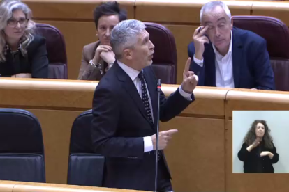 Fernando Grande-Marlaska es justifica al Senat.