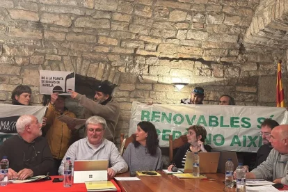 Contraris a les plantes de biogàs, durant el ple. - AINOHA ALAVA