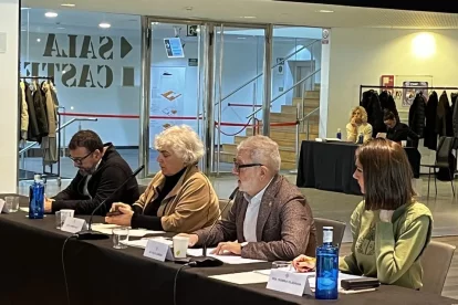 Larrosa va explicar el pressupost en el Consell Econòmic i Social. - AJUNTAMENT DE LLEIDA