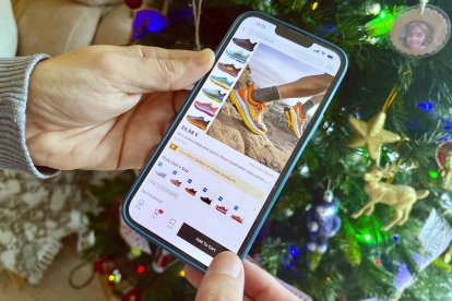 Un ciutadà fent una compra en línia.