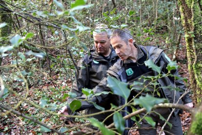 Dos agents rurals analitzant una finca a Vidreres