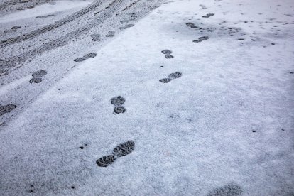 Rafael Bastante - Europa Press