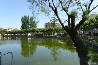 El parc del  Terrall, on es reduiran zones verdes. - A.B.B.