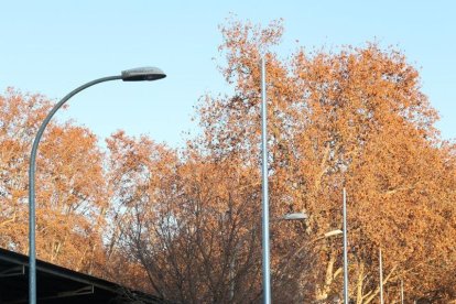 Demores amb el nou enllumenat del recinte firal als Camps Elisis de Lleida.