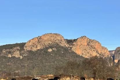 El conseller va visitar ahir diverses explotacions a l’Alt Urgell. - @OSCARORDEIG