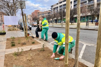La tinenta d'alcalde i regidora de Sostenibilitat, Begoña Iglesias, amb l'equip de Raga, a l'illa de vegetació davant de l'EOI