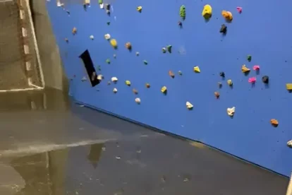 Terra entollat sota el rocòdrom del Juanjo Garra.