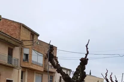 A la imatge, el cable caigut ahir a l’avinguda Garrigues. - AJUNTAMENT D’ALFÉS