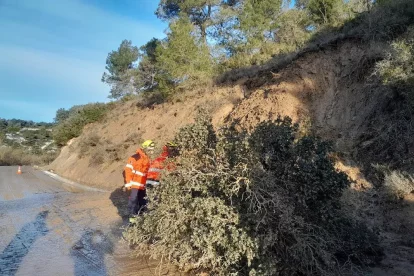 El despreniment de pedres, terra i arbres a les Oluges. - BOMBERS