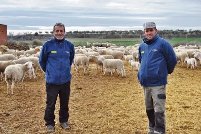 Una granja d’Algerri, model d’innovació, venda directa i formació