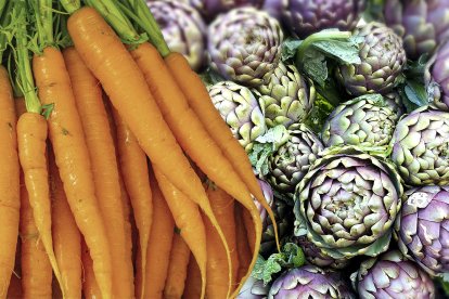 Científics de Lleida publiquen un estudi que assegura que es poden aprofitar els residus de carxofa i safranòria per fer prebiòtics