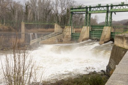 Les comportes del riu Segre a Lleida ciutat aquest dimecres al matí.