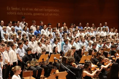 Els participants en el concert d’ahir van deixar petit l’escenari de l’Auditori. - PAERIA