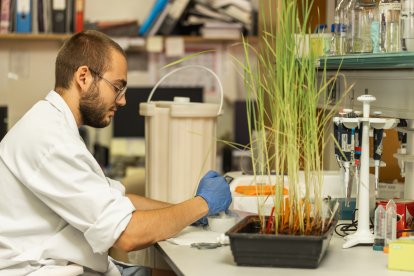El nou centre busca consolidar Lleida com un pols de recerca agroalimentària en el sud d’Europa