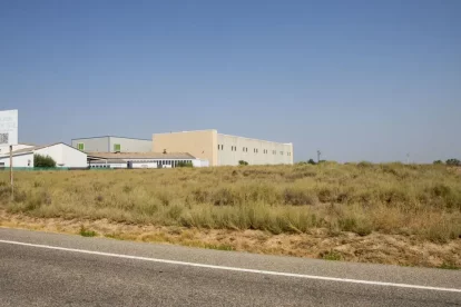 Les parcel·les estan situades a l’entrada de Bellpuig des de Tàrrega. - LAIA PEDRÓS