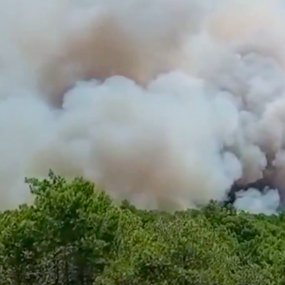 incendi pinell