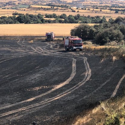 Una vista de l'incendi de cultius a Agramunt.