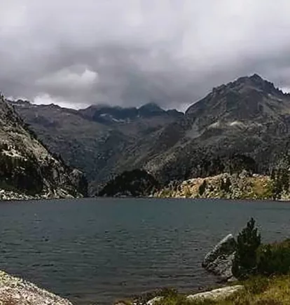 L’azalea (rododendre) i la carnívora violeta d’aigua (pinguicula grandiflora), a l’estany Negre. - CHE