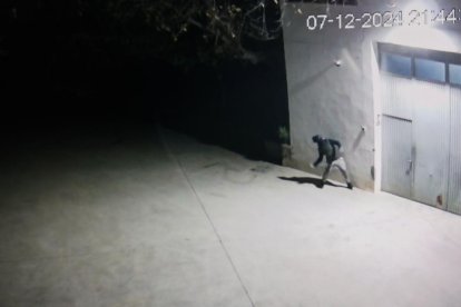 Un ladrón lanzando un tronco contra la cámara de seguridad