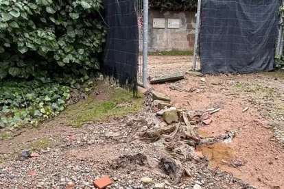 L’accés a una torre destrossat, una altra de negada, un preservatiu i una rata morta arrossegats per l’aigua.