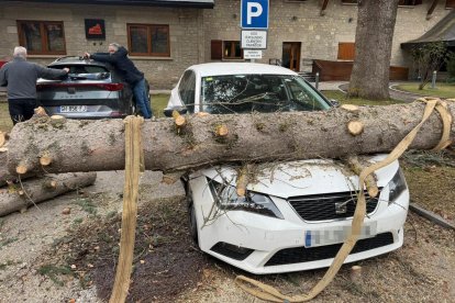 Un abre ha caigut a l'aparcament del Parador d'Arties, a la Val d'Aran.