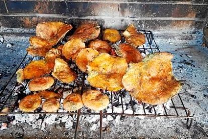 Entre totes les fotos rebudes sortejarem un cap de setmana per a dos persones a l'Hotel Can Boix de Peramola (estada de 2 nits, de dilluns a diumenge, per a dos persones i en règim de mitja pensió. Amb reserva prèvia i subjecte a disponibilitat de l'Hotel).