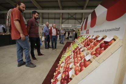 La Fira de Sant Miquel de Lleida viu una edició de rècord en superfície d'exposició.
