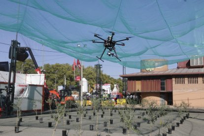 La Fira de Sant Miquel de Lleida viu una edició de rècord en superfície d'exposició.