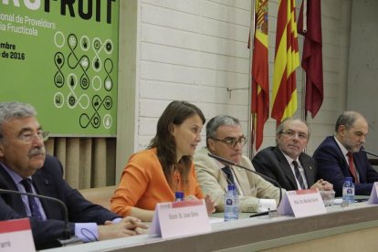 La Fira de Sant Miquel de Lleida viu una edició de rècord en superfície d'exposició.