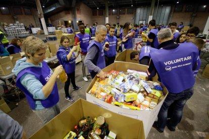 Imatges del Gran Recapte 2016 a Lleida