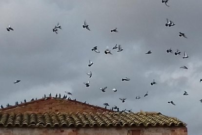 El fred, la boira i la neu...l'hivern ja és aquí!