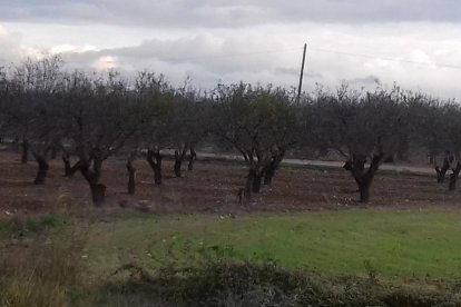 El fred, la boira i la neu...l'hivern ja és aquí!