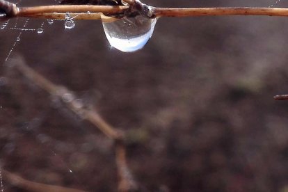 El fred, la boira i la neu...l'hivern ja és aquí!