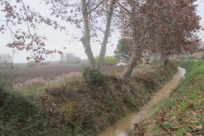 El fred, la boira i la neu...l'hivern ja és aquí!