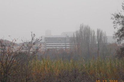 El fred, la boira i la neu...l'hivern ja és aquí!