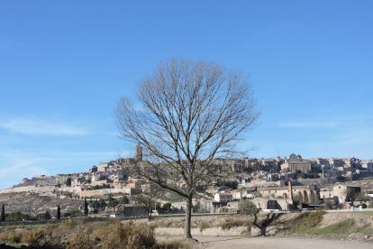 El fred, la boira i la neu...l'hivern ja és aquí!