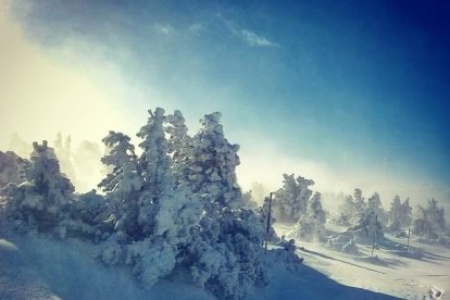 El fred, la boira i la neu...l'hivern ja és aquí!