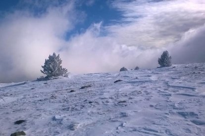 El fred, la boira i la neu...l'hivern ja és aquí!