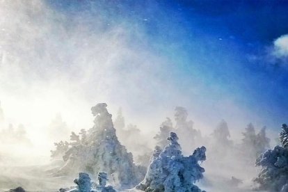 El fred, la boira i la neu...l'hivern ja és aquí!